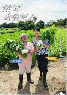 华策影视综艺青春环游记海报